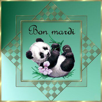Bon Mardi - panda